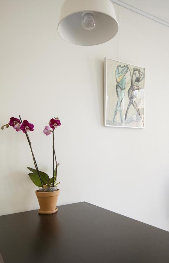 Vakantiehuis Tweede Laurierdwarsstraat *